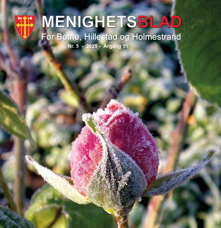 Ny sokneprest i Botne